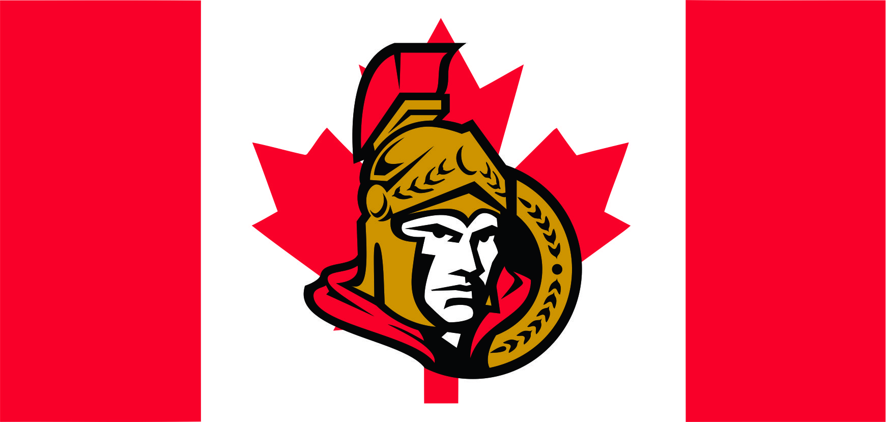 Ottawa Senators Flag001 logo iron on paper